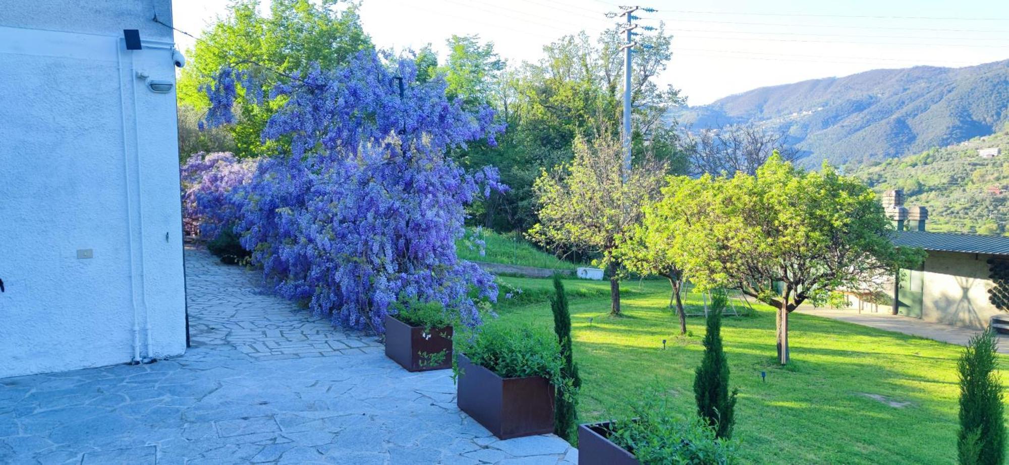 Residenza Bertolini Apartamento Fosdinovo Exterior foto
